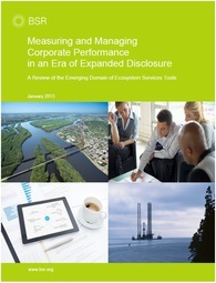 Bsr Measuring And Managing Corporate Performance Cover